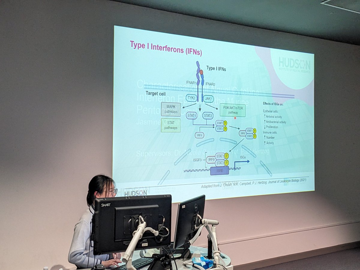 @JasmineChuah1 shows IFN-epsilon to be key for treatment of peritoneal pathologies. @CiiiD_Hudson #YoungVIIN2023 #viinyis