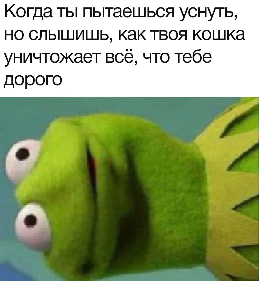 Дантес (@dantesdmitriy) on Twitter photo 