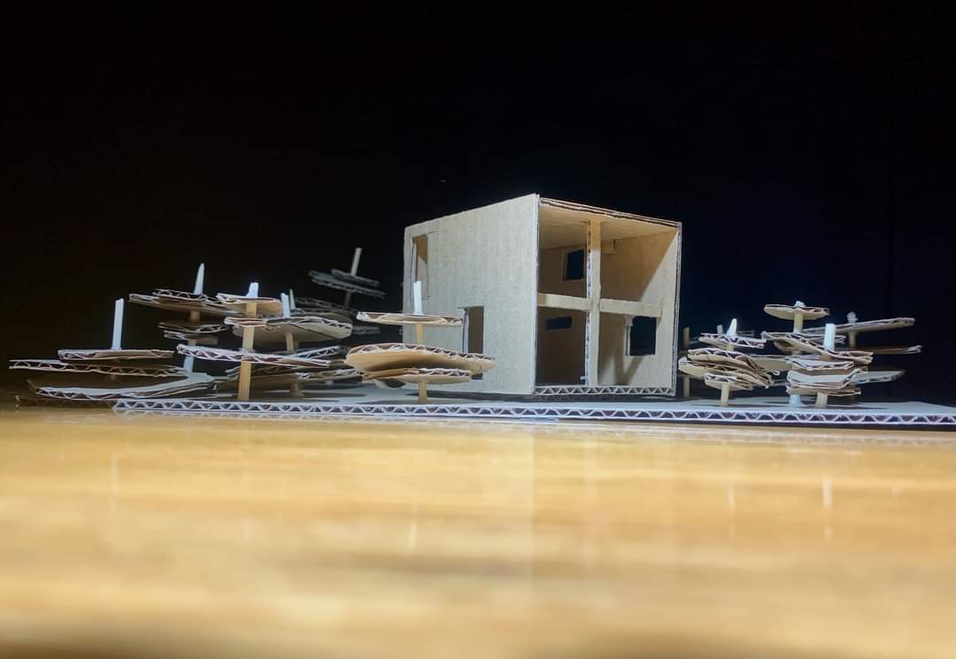 TonyVa17's tweet image. Modelo de estudio
Luz y sombras 
#arquitectura #modeloarquitectonico 
#luzysombra
#escala