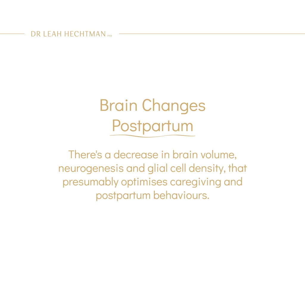 Dr Leah Hechtman (PhD) tweet media