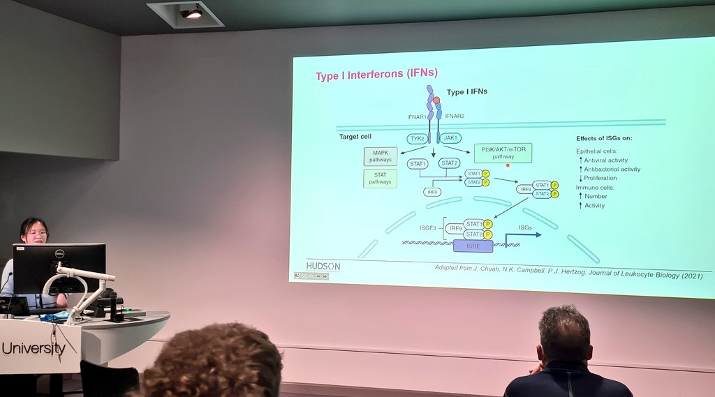 Another great @CiiiD_Hudson student talk at #YoungVIIN2023, this time from @JasmineChuah1! 🤩 Exploring the fascinating roles of interferon epsilon IFNe in both homeostasis and inflammation 🔬
@nk_campbell @pjhpauljh @Hudson_Research @The_VIIN #viinyis