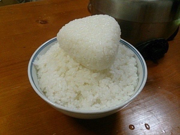 <a href="/hideyosino/">ピンフスキー</a> さっ…食べな…
