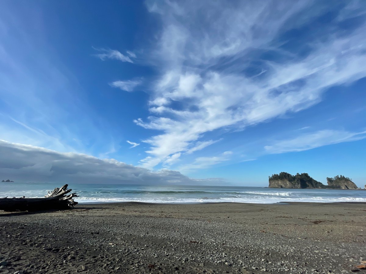 Jessica Hawley MD MS tweet media