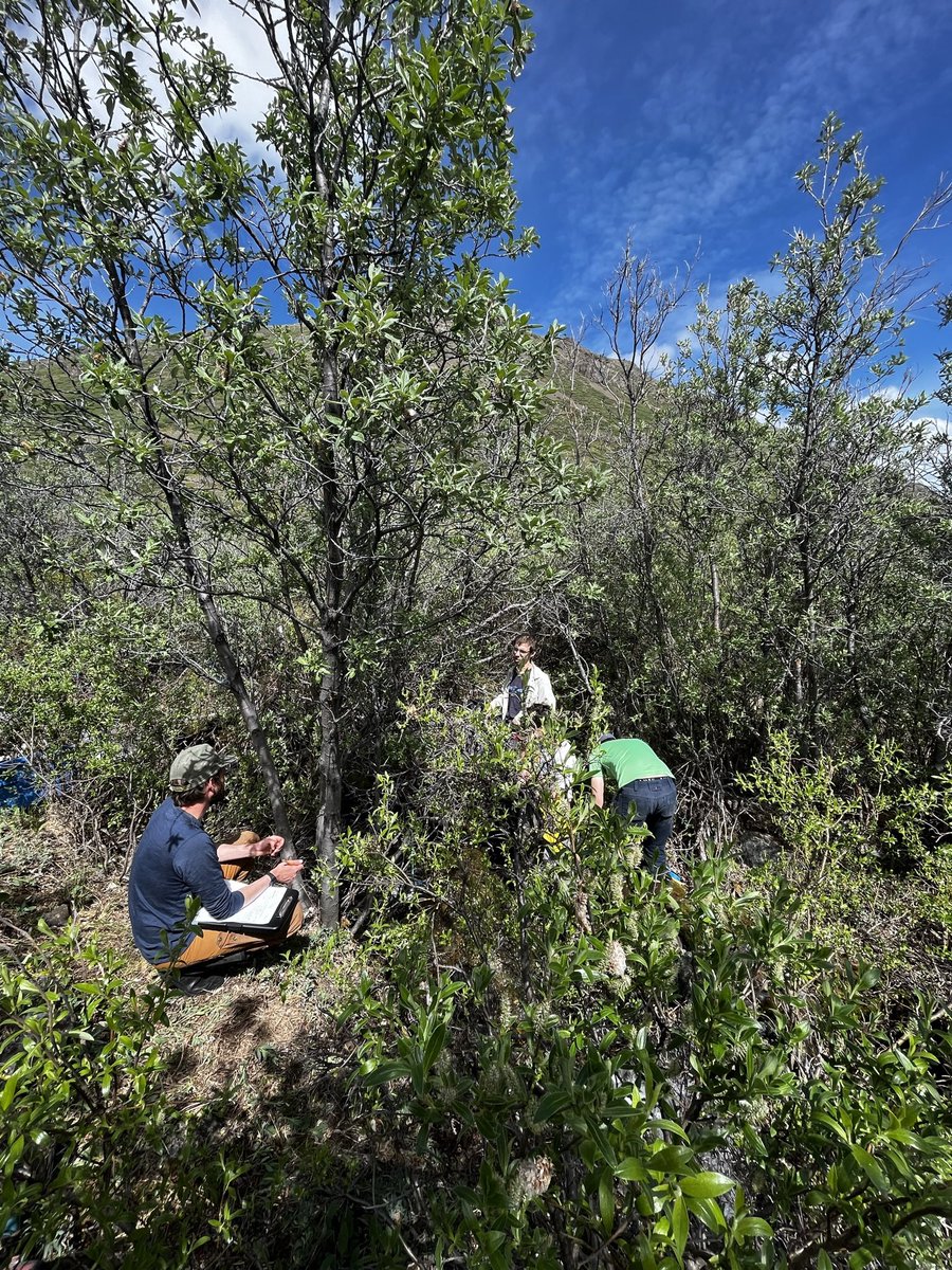 Calvin Newbery tweet media