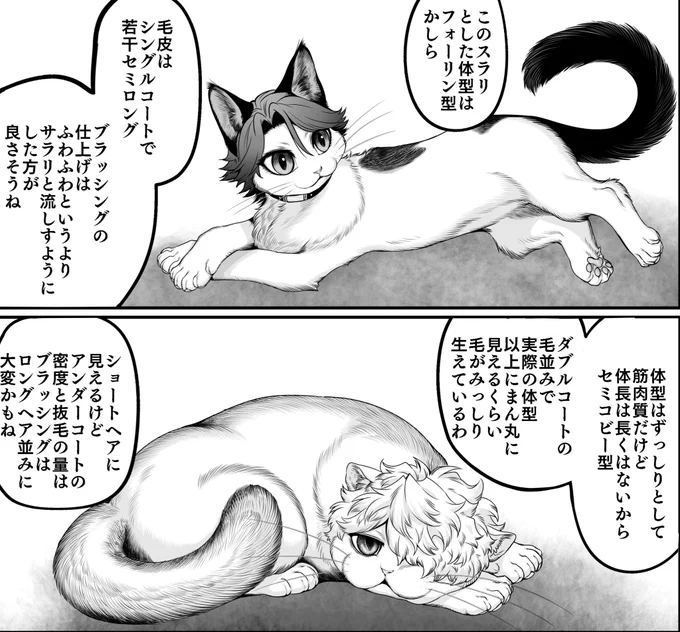 個人的なイメージモデルは キニャ🍺🐈はブリショやエキゾ、スコティッシュなど ブニャ🍣🐈‍⬛はメインクーンやソマリ、日本猫など  特定の品種というより イメージを混ぜこぜにして爆誕した感じのアレソレ