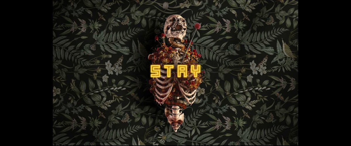 meredith "SUBLIME!" berg tweet media