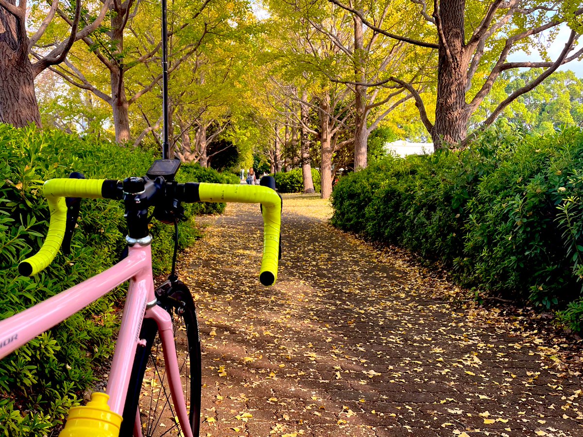 kaji_phone's tweet photo. 秋🍂かな?
#サイクリング #ロードバイク #クロモリ #myアンカー #ボレー #オージーケーカブト #埼玉 #箱根
#cycling #roadbike #RNC7 #bridgestoneanchor #anchorbikes #bolle #ogkkabuto #saitama #hakone https://t.co/Nm8bdxNikb