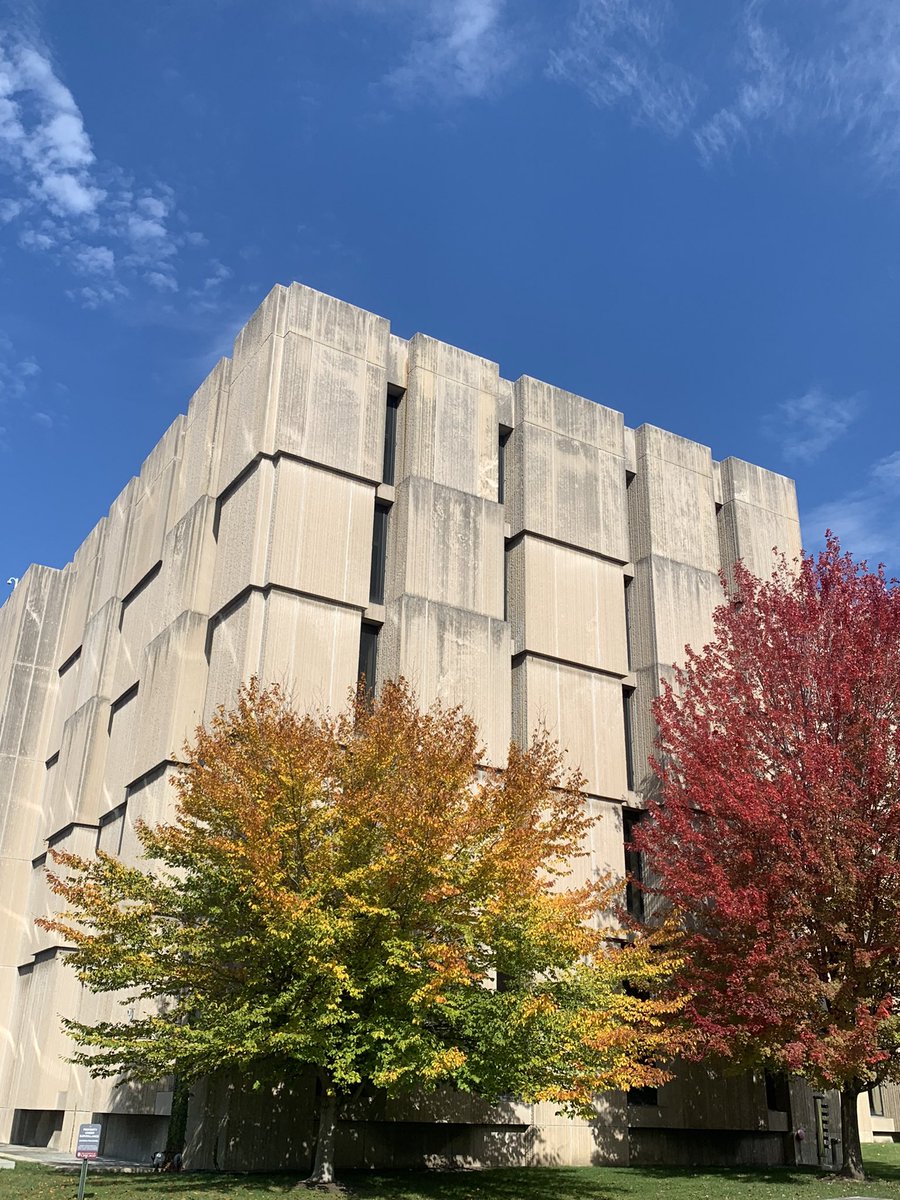 Autumn colors at <a href="/UChicago/">The University of Chicago</a> before it gets cold 🍁