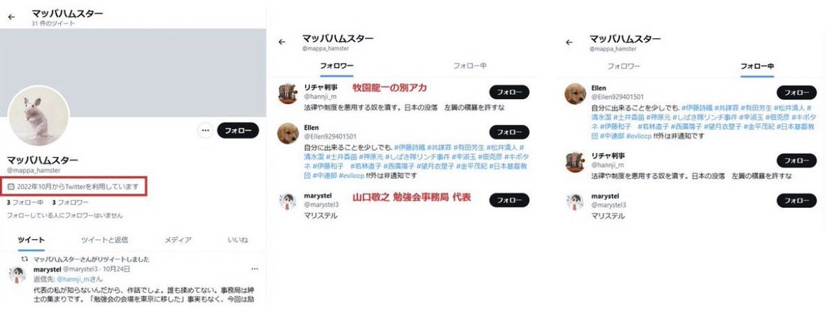 mappa_hamster's tweet photo. リチャードさん、マリステルさんをフォローして何が悪いのでしょうか？ https://t.co/V71fQmewQl