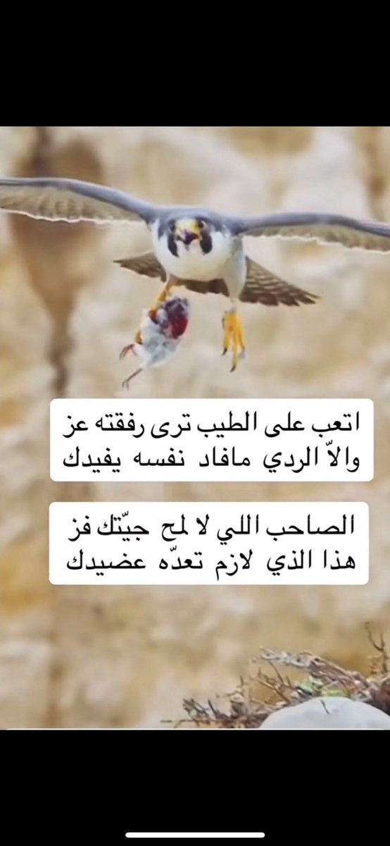 #مما_راق_لي