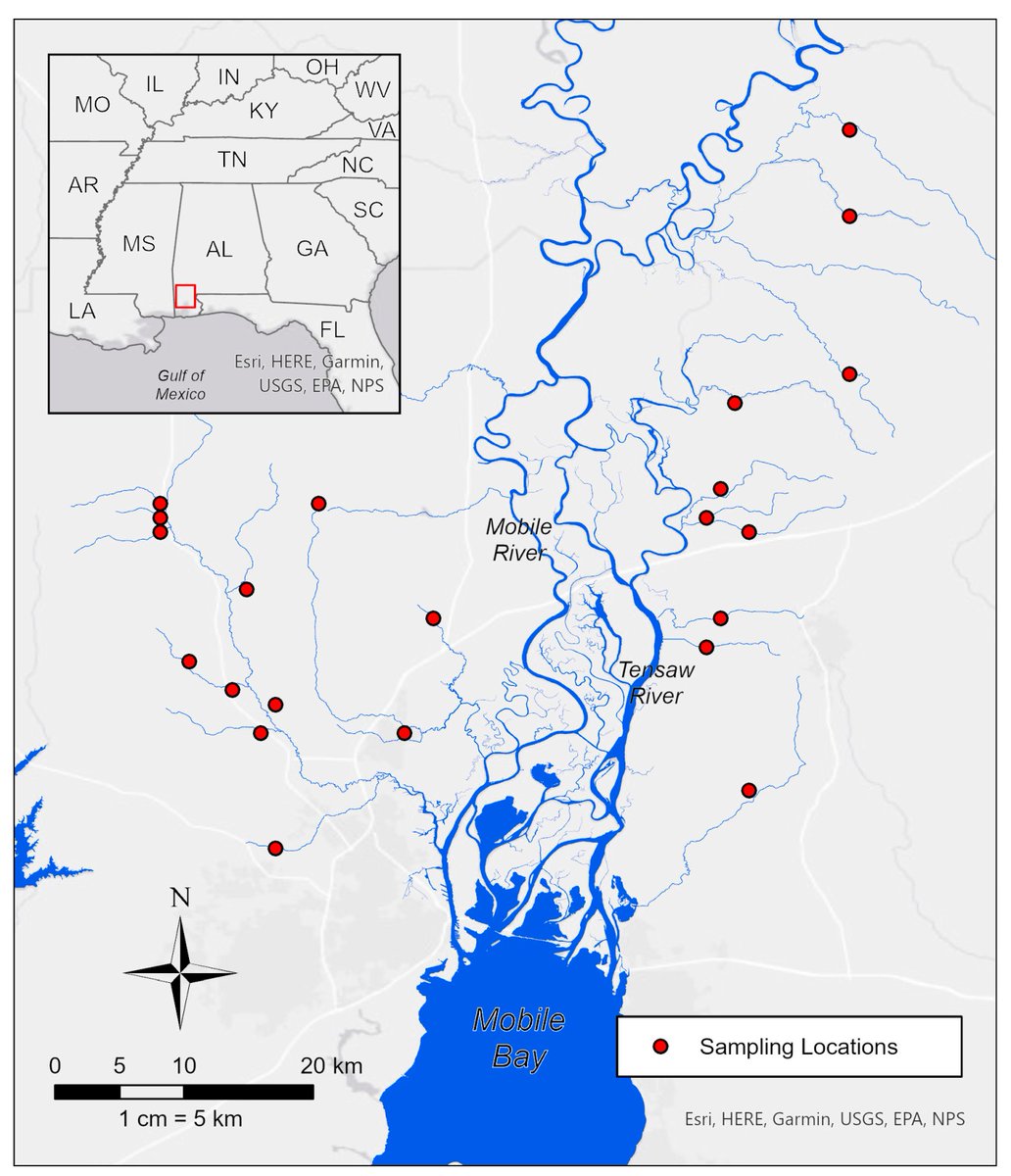 #insects Paper Published  
📚Regional β-Diversity of Stream Insects in Coastal Alabama Is Correlated with Stream Conditions, Not Distance among Sites

by Carlos Sankone et al.

📷mdpi.com/2075-4450/14/1…

#biodiversity #aquaticinsects