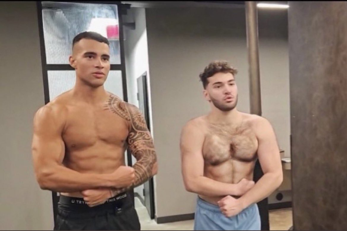 HSTikkyTokky tweet media