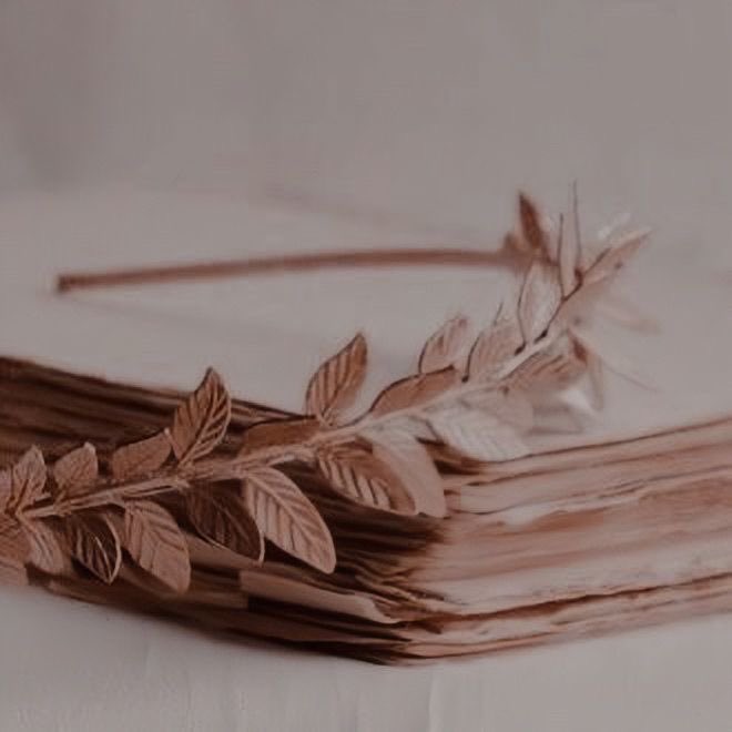 FreyBarnes's tweet image. ⇢ ˗ˏˋ Freya ‘Dottie’ Barnes ࿐ྂ
⤷  goddess of light

. . . ❝ She was made of sunlight. ❞