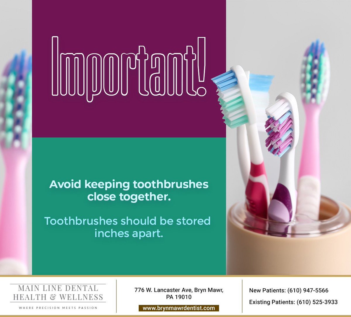 mainlinedentalH's tweet photo. Storing multiple toothbrushes together can create a breeding ground for bacteria. If you live with multiple individuals, ensure that there are a few inches between each toothbrush. #toothbrushtip #BrynMawrDentist #BrynMawr #PA https://t.co/eMAhqpyPgZ
