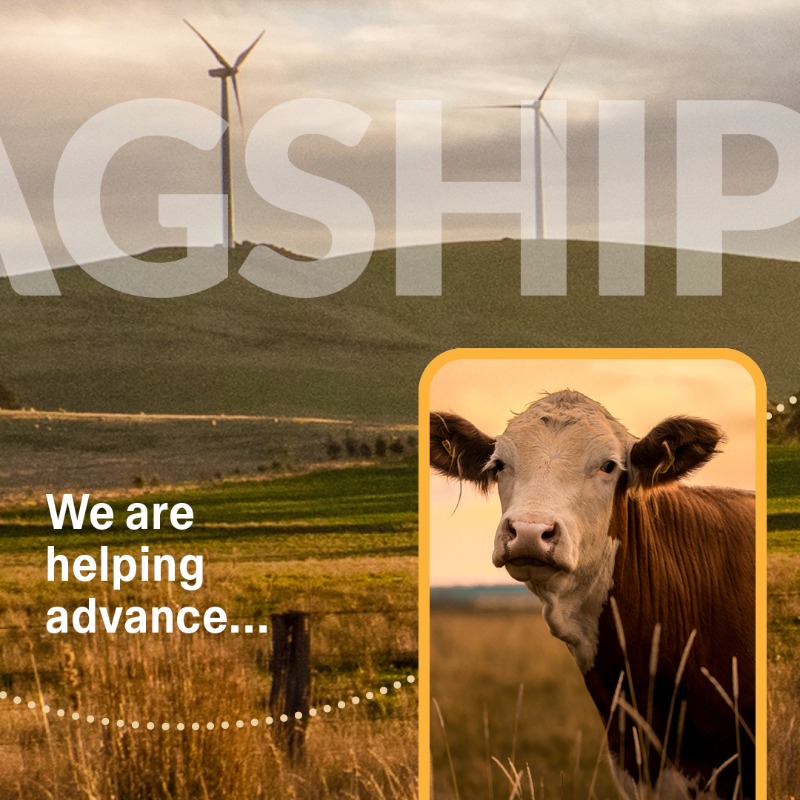 unisqaus's tweet photo. We're focusing our excellent research on the issues that matter most to our communities...
And the world around us! ๐
#FlagshipFocus l #WeAreRegionalDevelopment