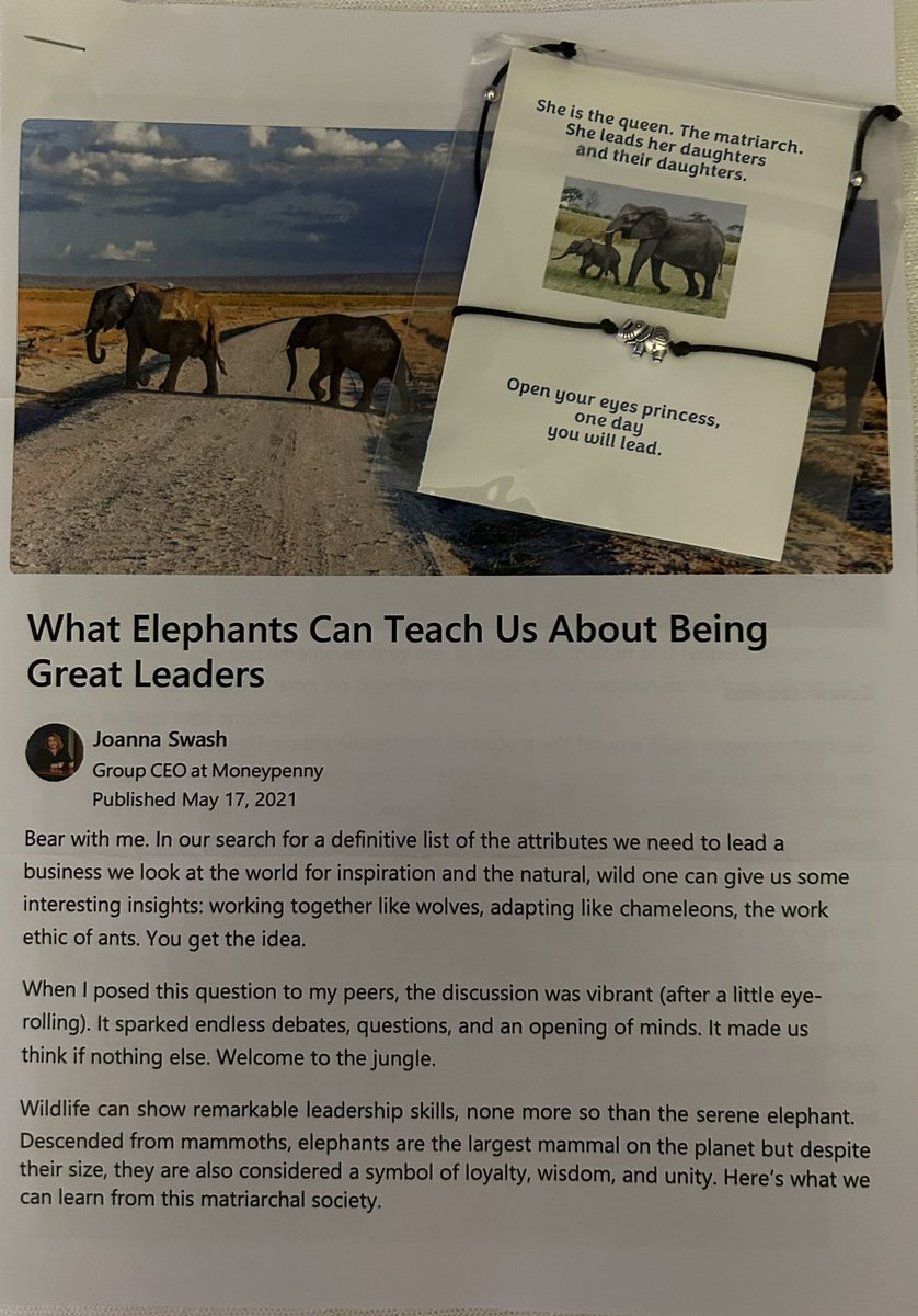 Lauren Hopkins tweet media