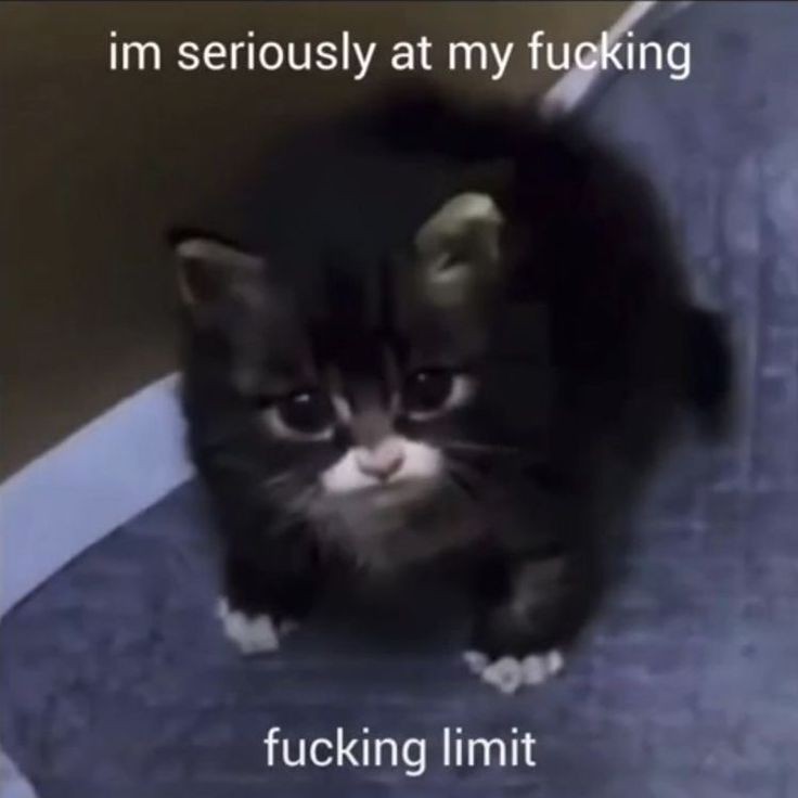 guys im telling you, the only thing that keep me still playing this shitty game is Childe. I've made a silent promise with him to keep playing until i can bring him home to snezhnaya personally. but seeing at how hoyo treated Childe like this, i don't think i can take it anymore.