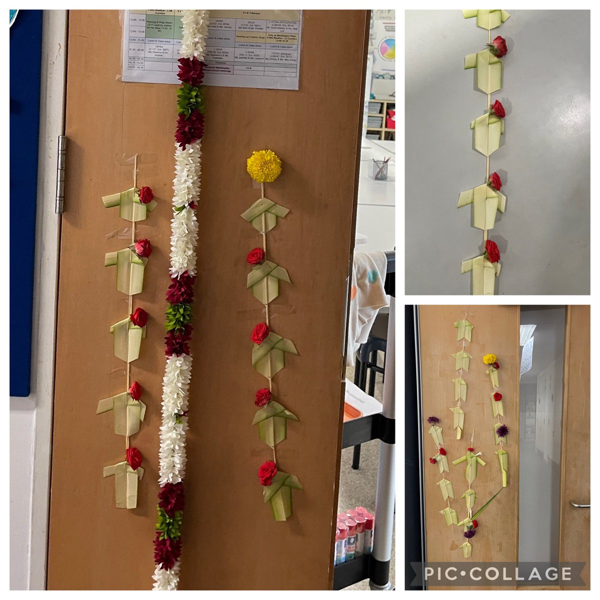 We looked at how we can use sustainable nature friendly materials for festive decorations. My g3 Ss who are into a weaving unit learned to weave this traditional coconut leaves thoranams (door decors) used for auspicious occasions in India. #deepavali celebrations at #SAISrocks