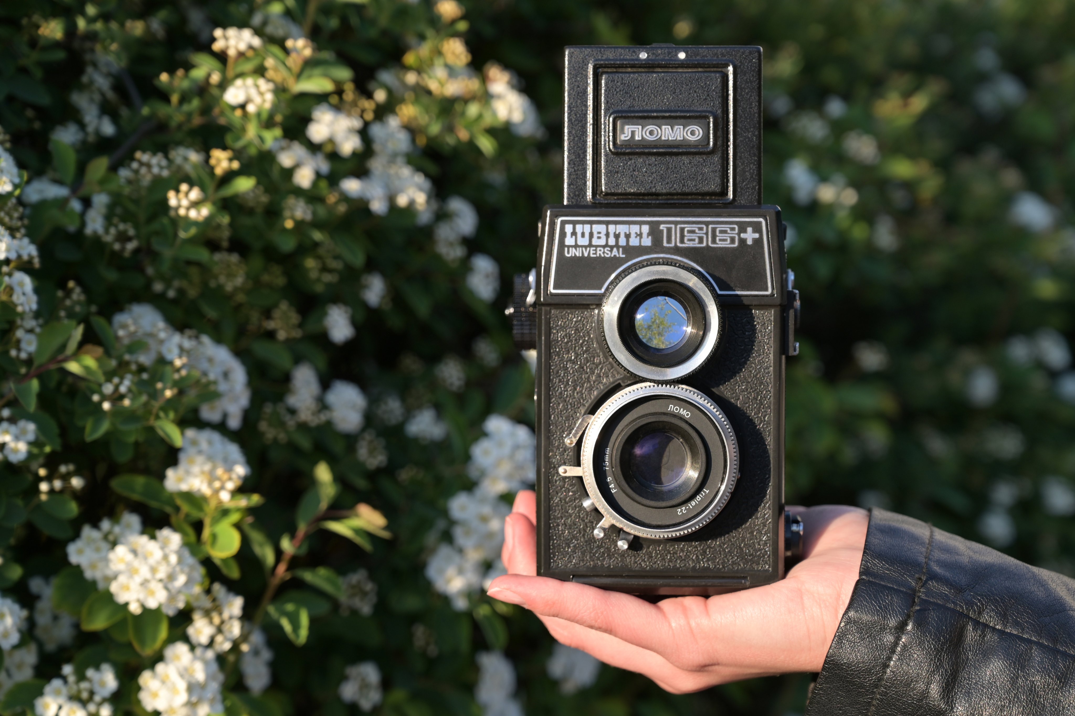二眼レフカメラの楽しみ Lomo Lubitel 166+｜nono