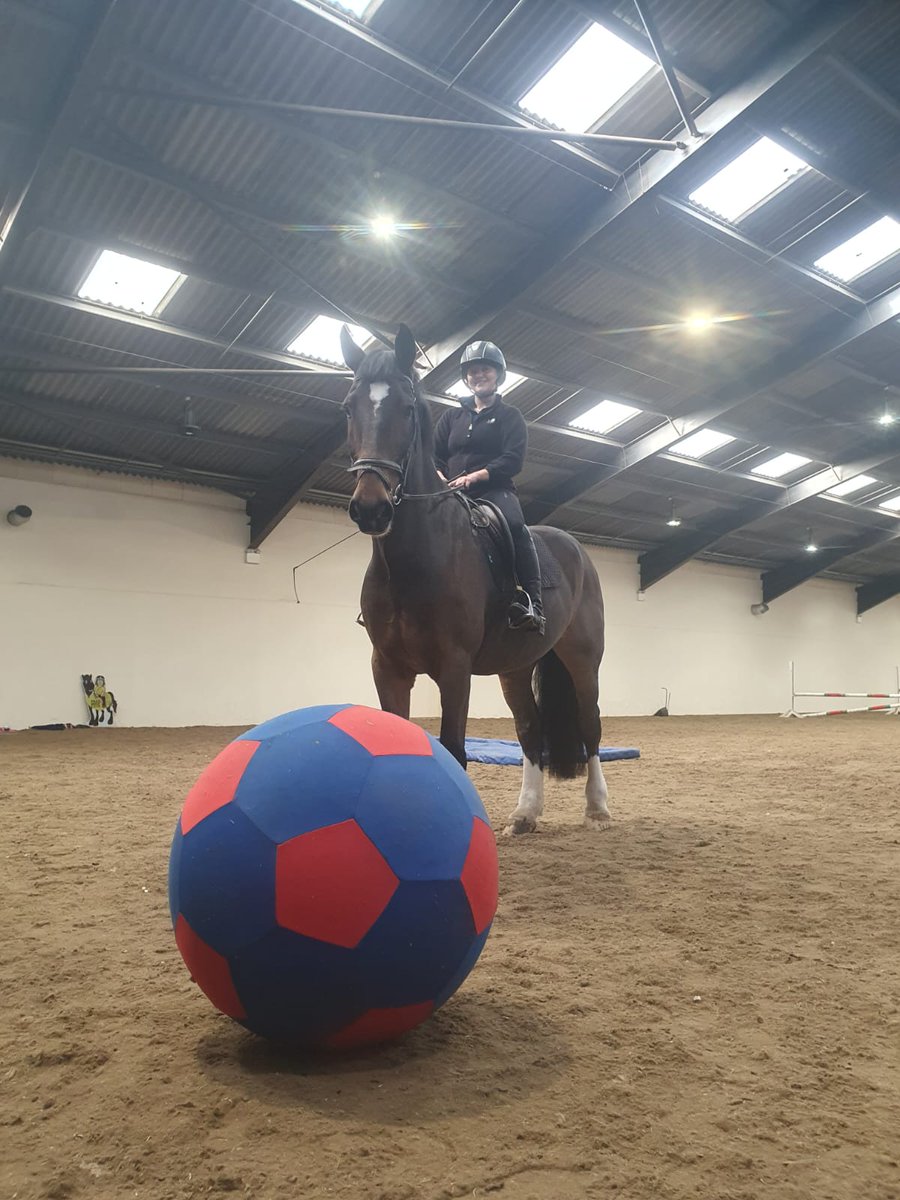 Time for a kick about Trinity? 🐴⚽  We train our horses with a variety of 'nuisances'. The football teaches them to not be frightened of things touching their legs, and it's good fun for them to play with at the same time 😁 #policehorsetraining