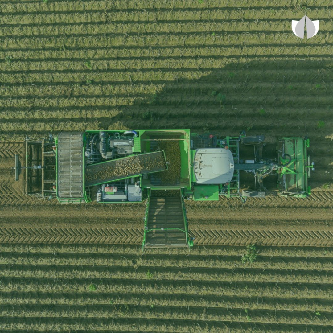 ffdt_uk's tweet photo. We're excited to be attending @RNAAuk's Agri-Tech Week event today at Fredrick Hiam Foods Ltd. Exploring first-hand how technology is at the root of our nation's vegetable consumption 🥕🥔
@Agri_Tech_E
#AgriTechWeek #ATW2023 https://t.co/q3jJ0B8ip5