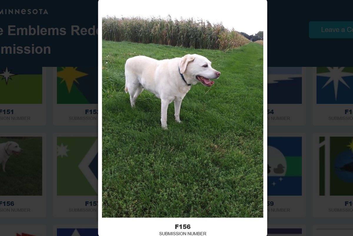 For Minnesota's flag design contest someone just submitted a picture of their dog