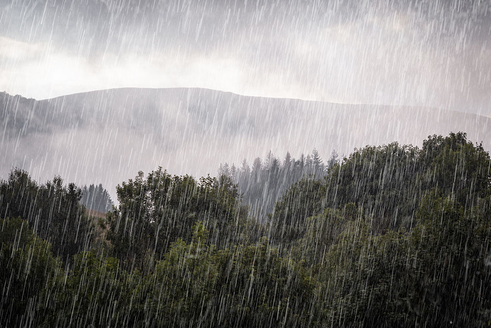 SegurcuatroAXA's tweet photo. ☔🏠 Recuerda que, si vienen #lluvias intensas o fuertes ventiscas, hay algunas medidas que puedes adoptar de forma preventiva para reducir los daños. 
➡️ https://t.co/qSeVriSrC6 ⬅️ @EstamosSeguros_ https://t.co/EeaoGbiZXl