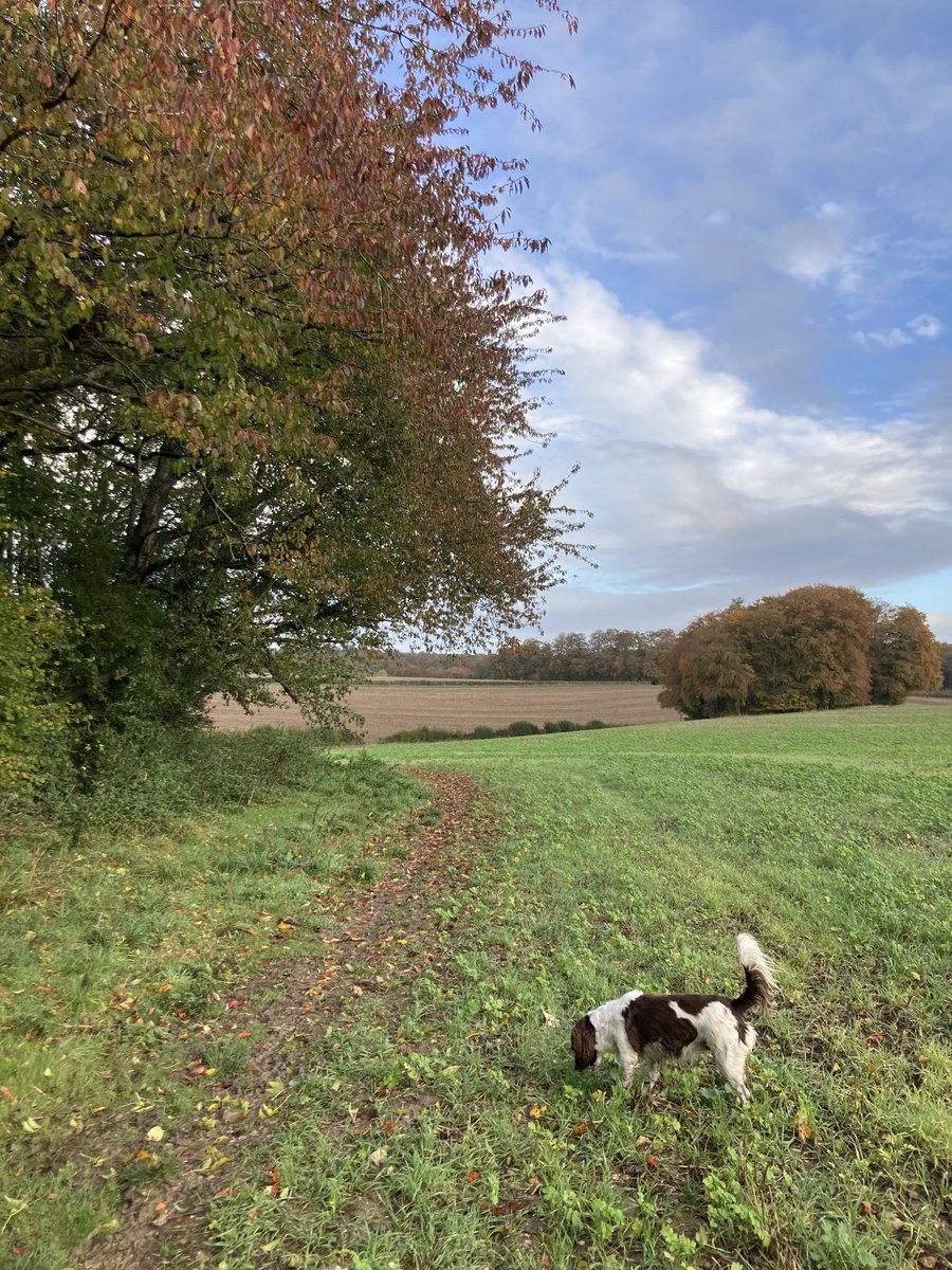 springmeister's tweet photo. Just one step at a time. #morningwalk https://t.co/mIQkXCM8nq