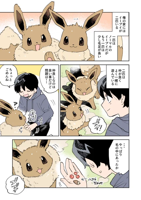 二匹のイーブイの話