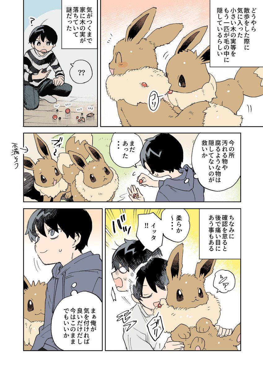 二匹のイーブイの話