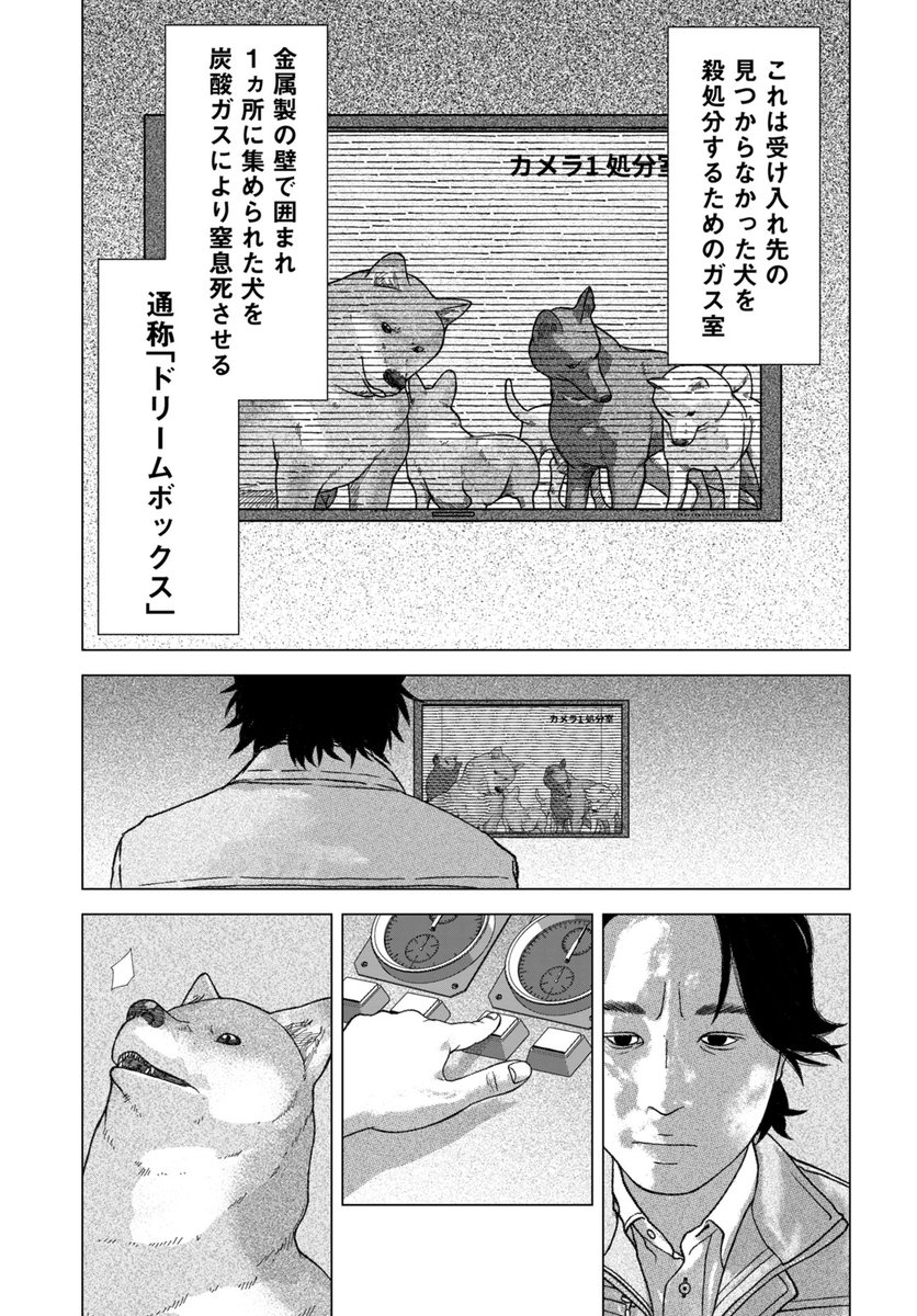 (8/12) 