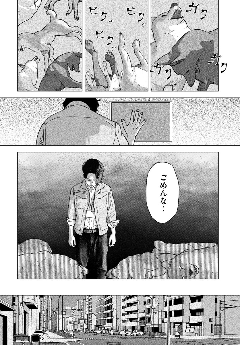 (8/12) 