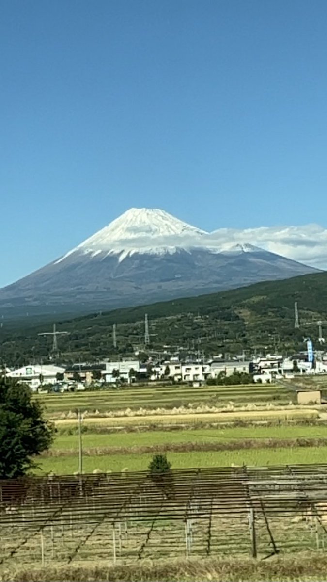 Jim Mackay tweet media