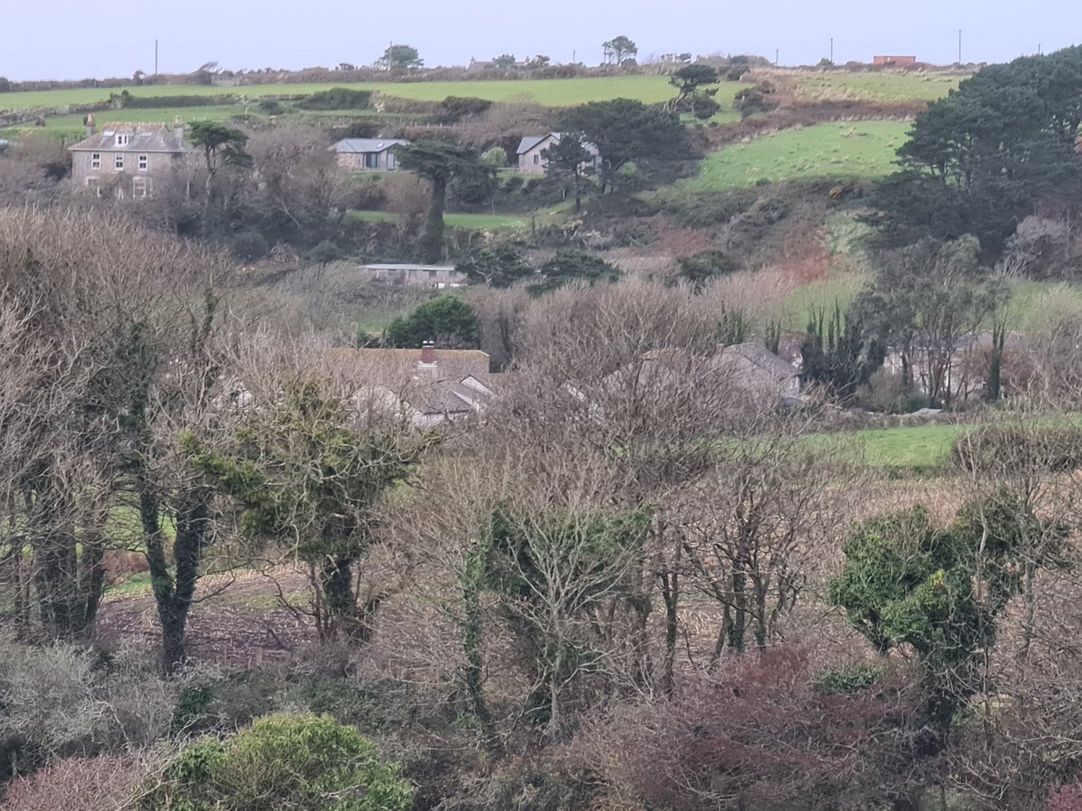 gnome_alice's tweet photo. #Tregeseal and #Truthwall seen from #StJustInPenwith Vicarage drive.
Looking wintery.
#Lannust
#Kernow
#Gwav
#Winter https://t.co/fpJ7qzp6Os