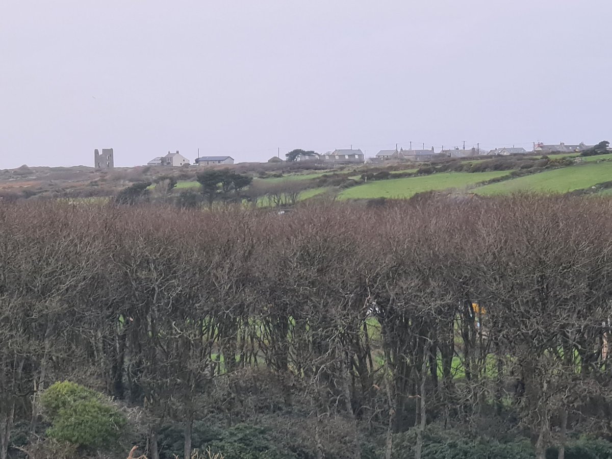 gnome_alice's tweet photo. #Tregeseal and #Truthwall seen from #StJustInPenwith Vicarage drive.
Looking wintery.
#Lannust
#Kernow
#Gwav
#Winter https://t.co/fpJ7qzp6Os