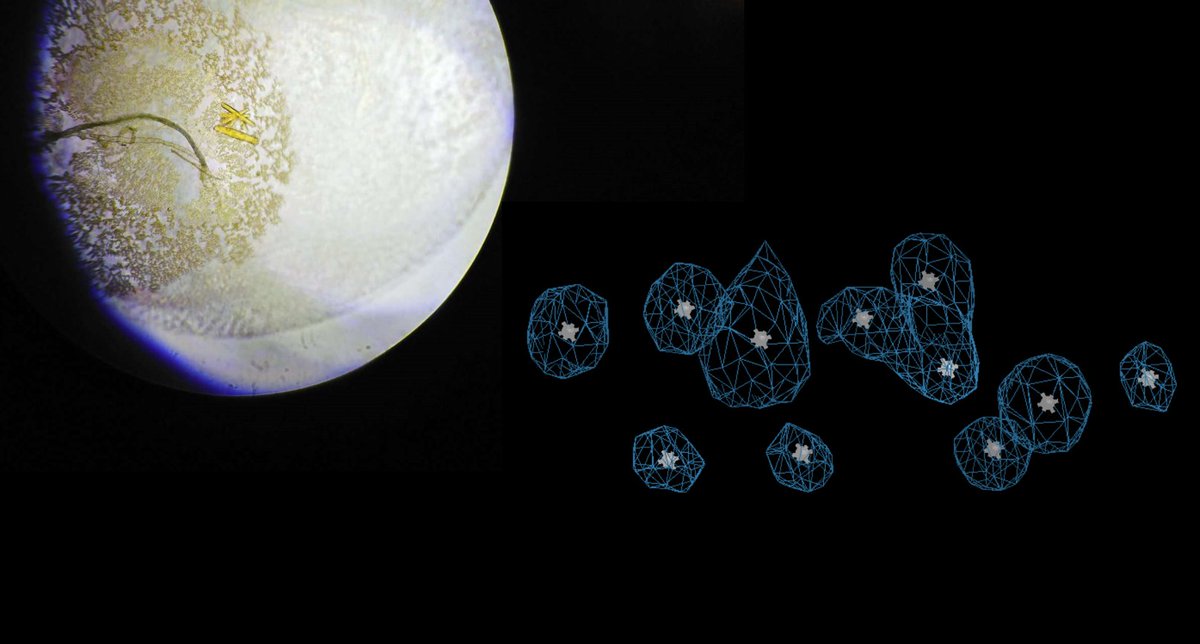 Per aspera ad astra: 4-year effort condensed in our latest publication on crystallization and structure determination of green/dual emissive DNA-AgNCs #silver #DNA #DNAAgNCs @SophiaBiophys @CHEMUCPH onlinelibrary.wiley.com/doi/10.1002/ad…