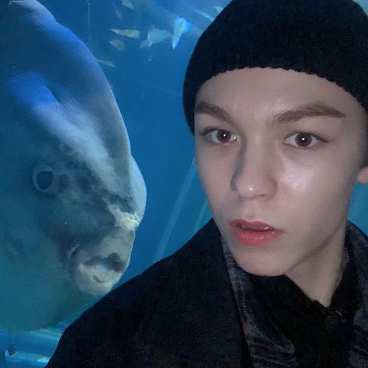 shuabebito's tweet photo. don’t ask me no stupid fucking questions https://t.co/ufvKNefhPu
