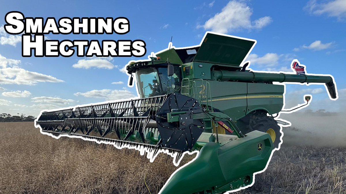 Tom’s Brook Farm tweet media