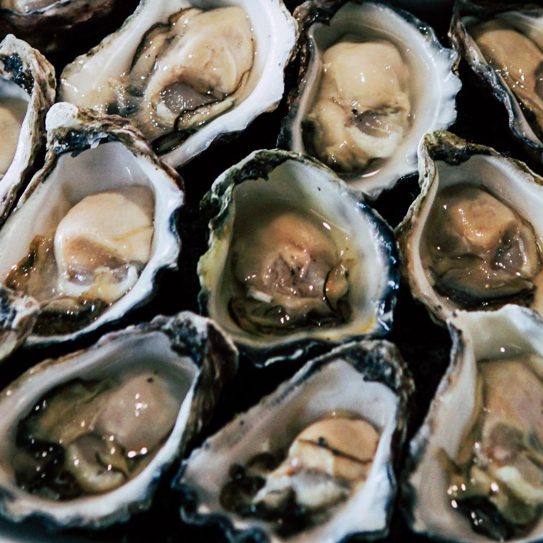 Singapore Cricket Club tweet media