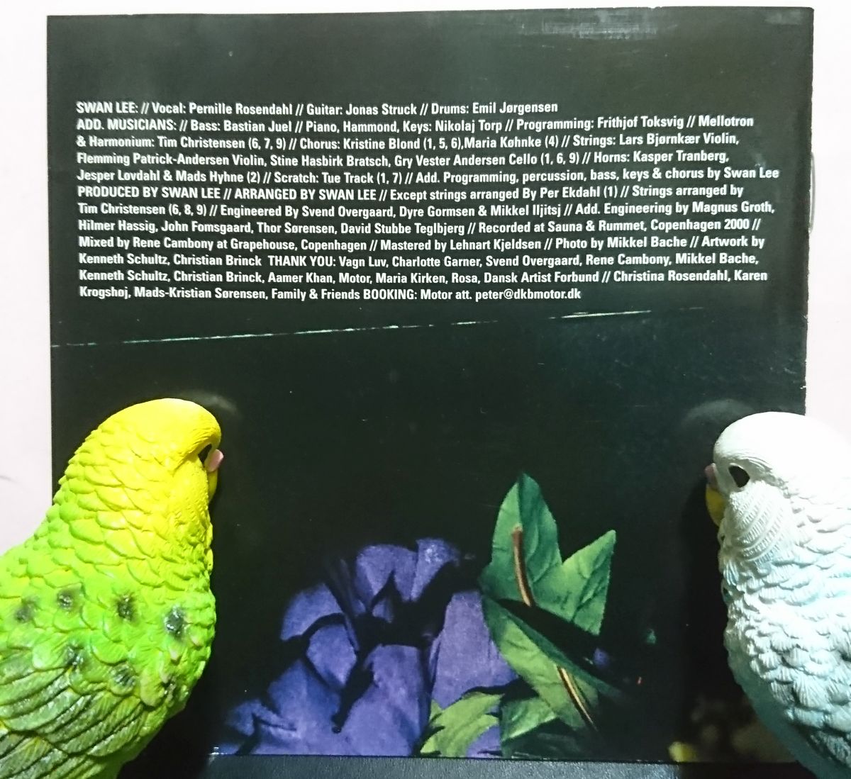 KuniyanBudgie's tweet photo. さて、今夜の1枚目
#NowPlaying️ #なうぷれ
SWAN LEE 🇩🇰 『ENTER』(2001/2002)
↓ 「Tomorrow Never Dies」
https://t.co/kzLNqKac1H
#SWANLEE https://t.co/qE9qo5egrs