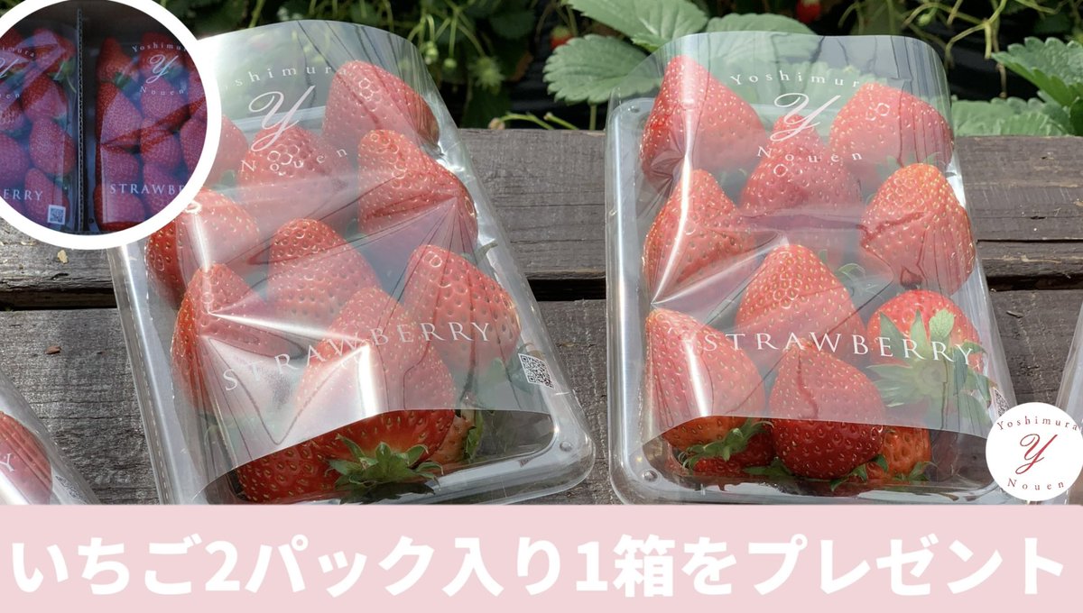 11-1　いちいちのいち　2箱 正規品】【乳酸菌】11-1（いちいちのいち）×2個セット 【公式通販】