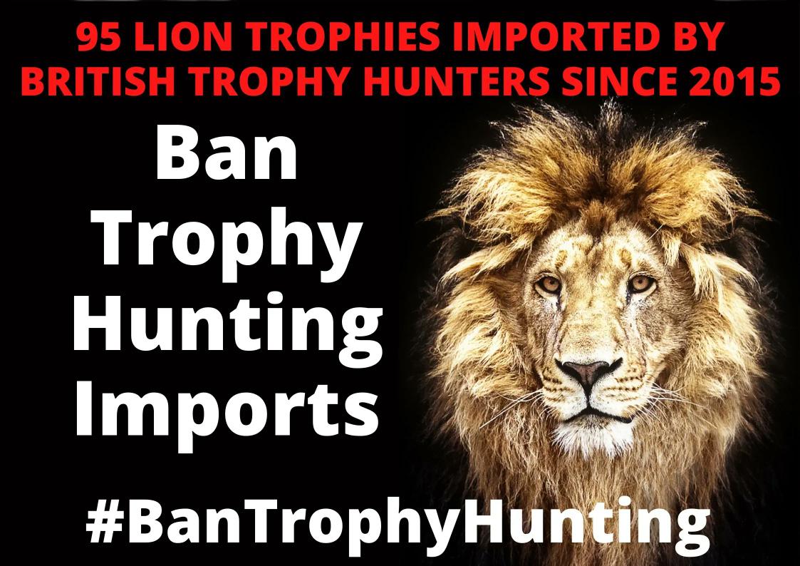 SueSpurgin's tweet photo. Please ✍️ & share this important petition to #SaveTheBan‼️ Ask the Govt & #UK parliament to HONOUR their pledge to #BanTrophyHunting imports of #endangered #wildlife 🦁 🐘🦏
@RishiSunak #GetTheBanDone
#EndangeredSpecies
https://t.co/pPS7zOpZZw https://t.co/ILlCh3wxzA