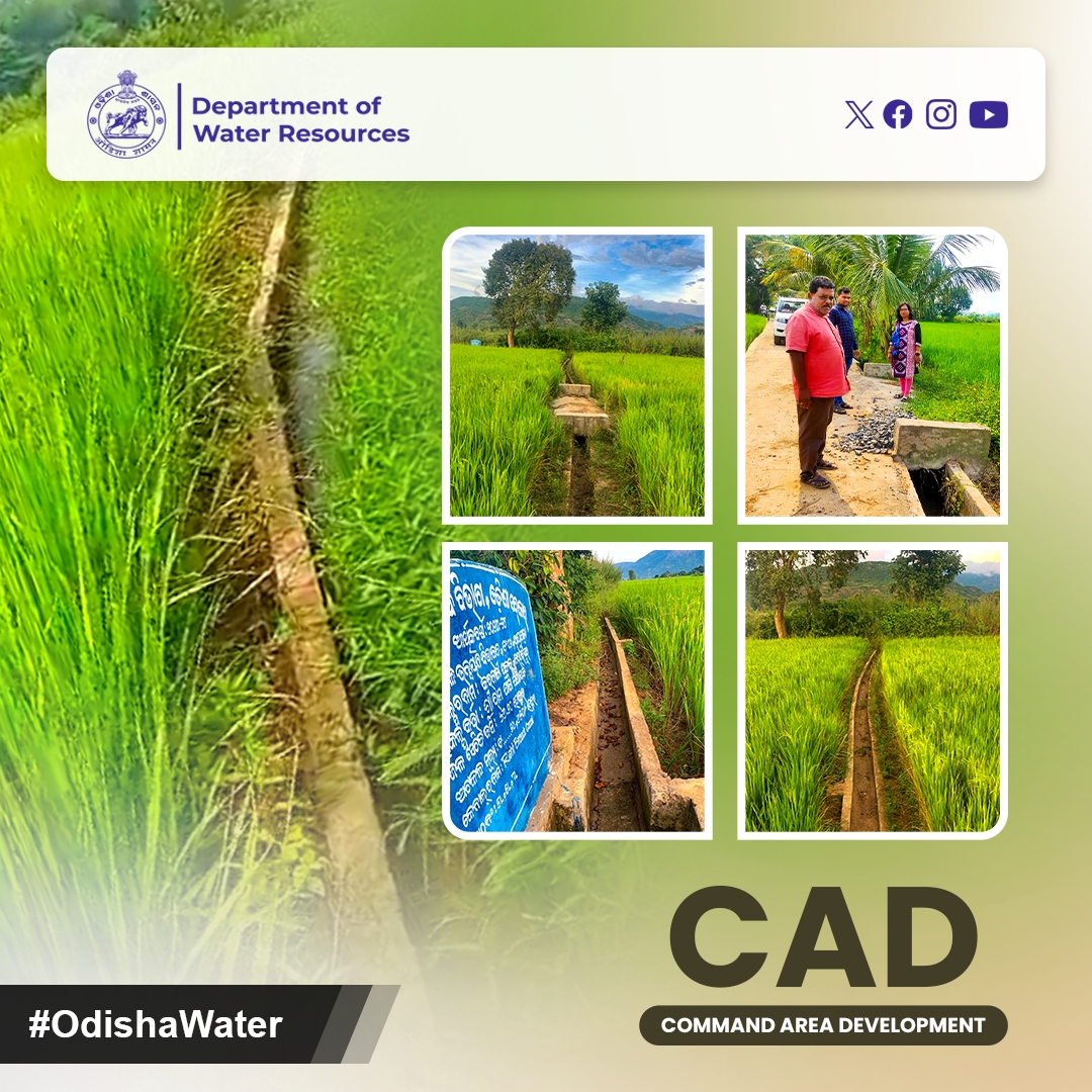 OdishaWater's tweet photo. #FieldChannelWork! O/L no. 5L of right branch canal breathes life into 16 ha in Naraharipur, #KrushnaSagarMIP #GajapatiDistrict #IrrigationSuccess #CAD #OdishaWater
@CMO_Odisha @TukuniSahu @DC_Odisha @_anugarg @OIIPCRA_OCTDMS @OLICLTD @ltd_occ https://t.co/gjMuGCX4zo