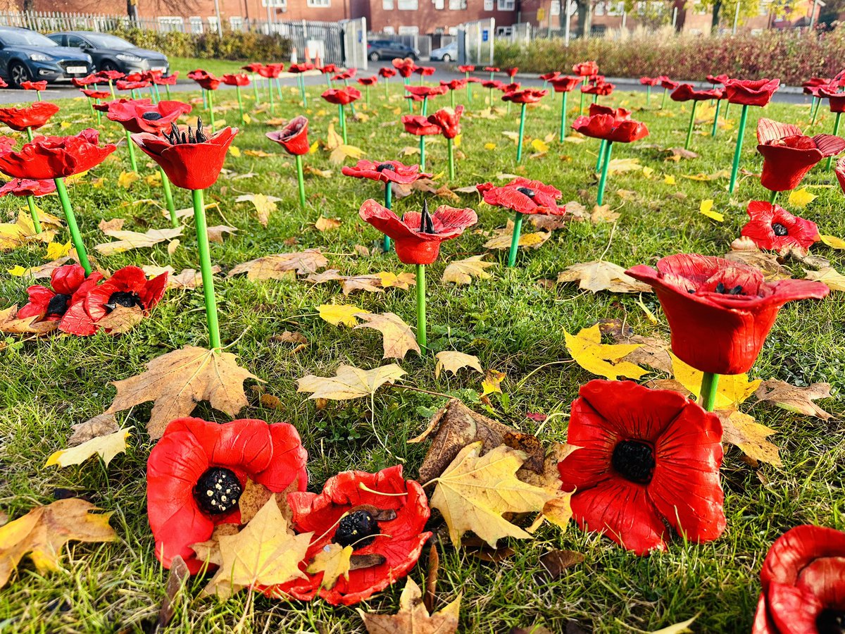 DTC_ECTLead's tweet photo. Part 1: This year we are marking Remembrance Day with our first poppy installation in the grounds of the academy. Every Yr7 and Yr9 GCSE artist has a clay poppy on display alongside some from a staff workshop. We hope all our families and visitors enjoy this display. @DixonsTC https://t.co/rN6bChyroi