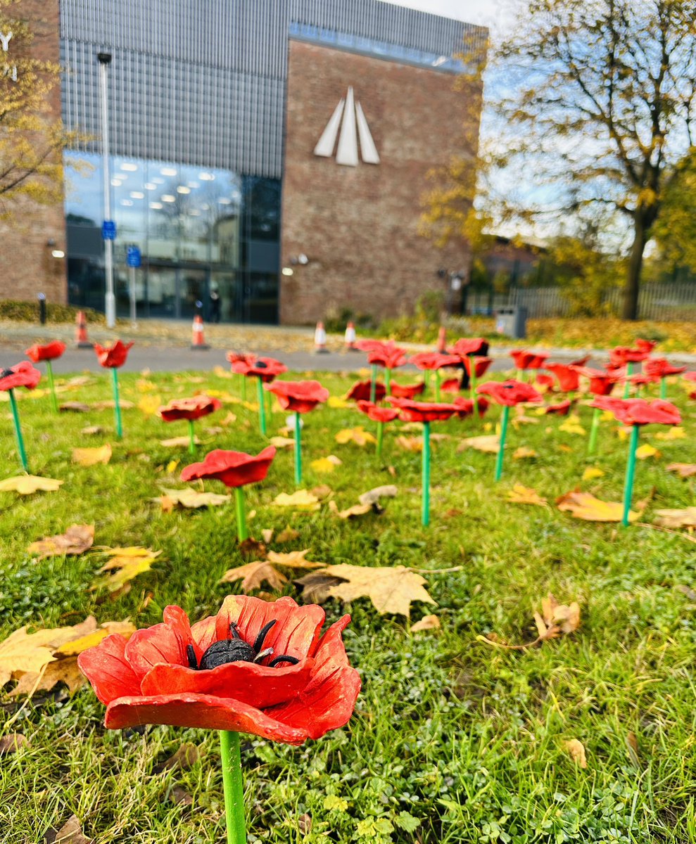 DTC_ECTLead's tweet photo. Part 1: This year we are marking Remembrance Day with our first poppy installation in the grounds of the academy. Every Yr7 and Yr9 GCSE artist has a clay poppy on display alongside some from a staff workshop. We hope all our families and visitors enjoy this display. @DixonsTC https://t.co/rN6bChyroi