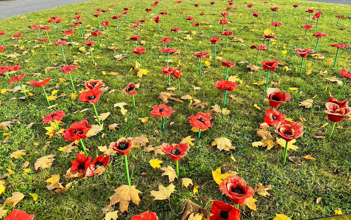 DTC_ECTLead's tweet photo. Part 1: This year we are marking Remembrance Day with our first poppy installation in the grounds of the academy. Every Yr7 and Yr9 GCSE artist has a clay poppy on display alongside some from a staff workshop. We hope all our families and visitors enjoy this display. @DixonsTC https://t.co/rN6bChyroi