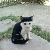 TurtleLoveCat's tweet photo. HYUNGWON REALLY BE LOOKING LIKE 😭 https://t.co/QxN1Rn7z34