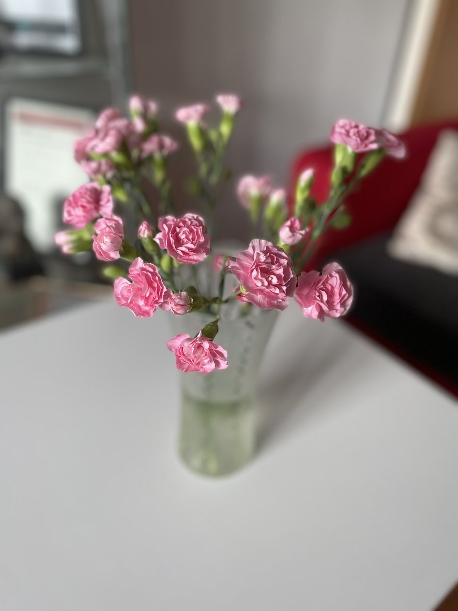 PaulaWhitcher1's tweet photo. It’s #FlowerThursday here @BBCGlos once again &amp; it’s brought to you by Friendship! My good friend @jojo_durrant left her job here yesterday after 20 years &amp; I came in to these beauties she kindly left me ❤️ here’s to your future Jo, spread your wings &amp; fly #JDBU https://t.co/2kJZl33Ng0