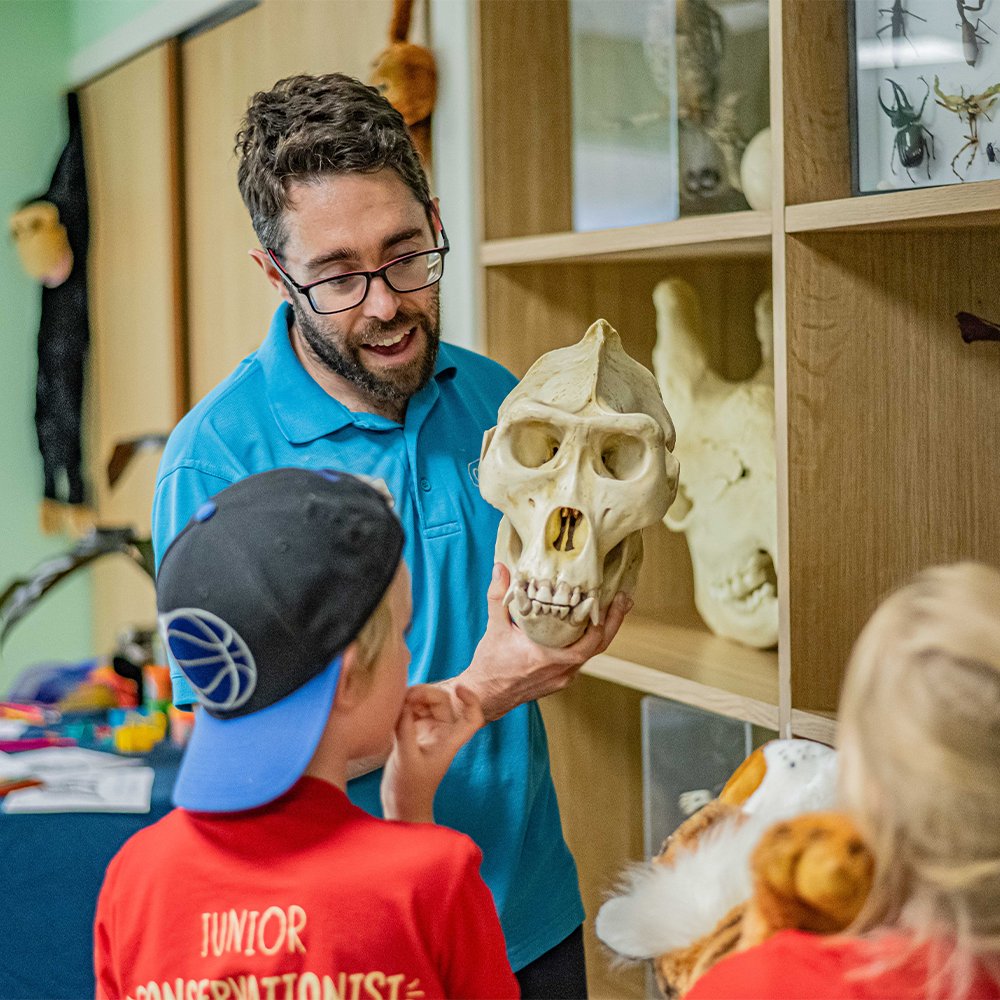 LearnatCZ's tweet photo. 1/2
Learning is at the ❤️of everything we do!

At @chesterzoo we've a talented team of educators, conservation communicators, content creators &amp; volunteers who work tirelessly to inform, inspire &amp; equip our visitors to live more sustainably &amp; in harmony with nature🌿

#IZEDay2023 https://t.co/8EJAMN2ddK