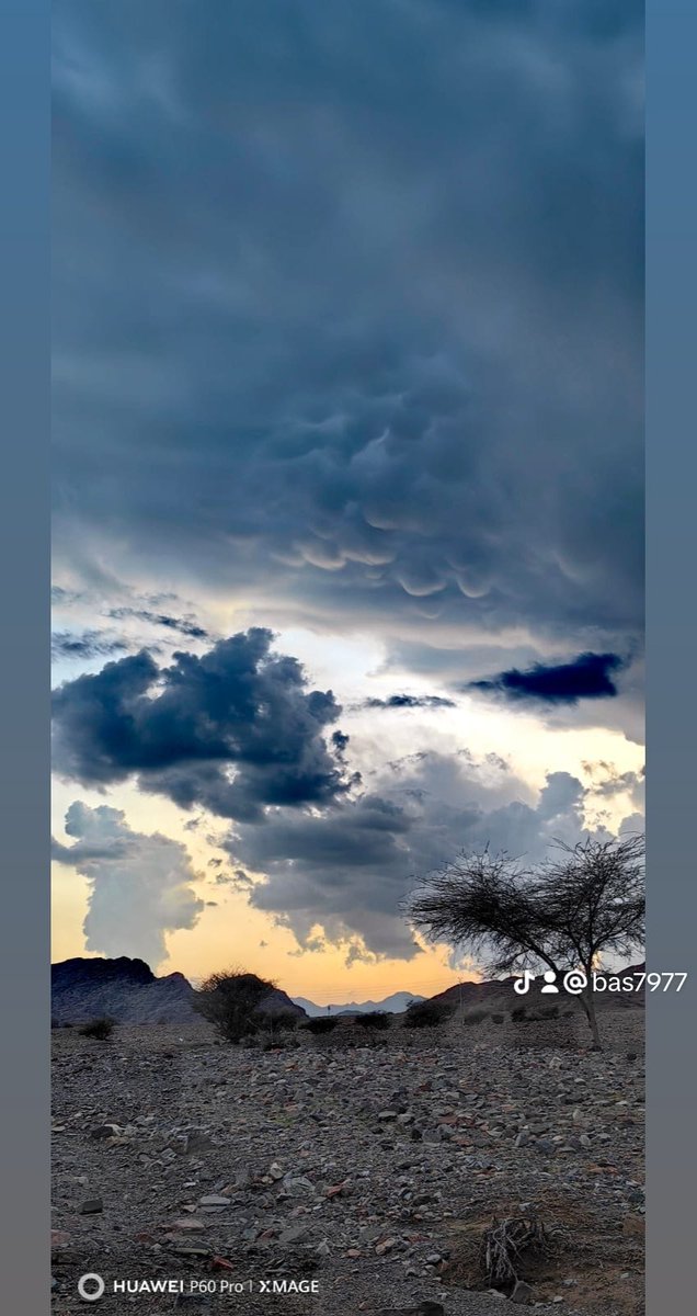 #امطار_المدينه